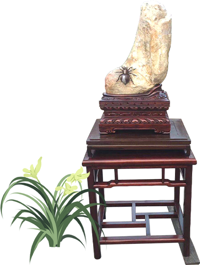 公司简介