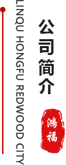 鸿福