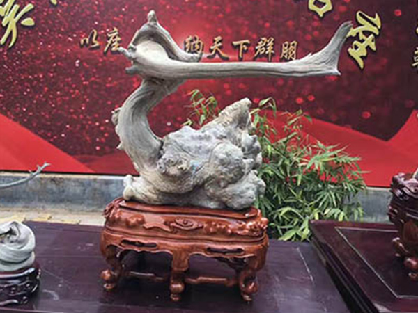 苏氏座6