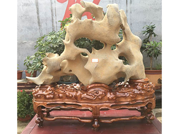 苏氏座5