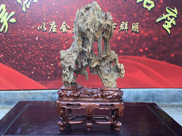 苏氏座4