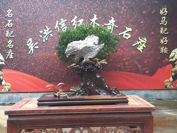 创意座 (25)
