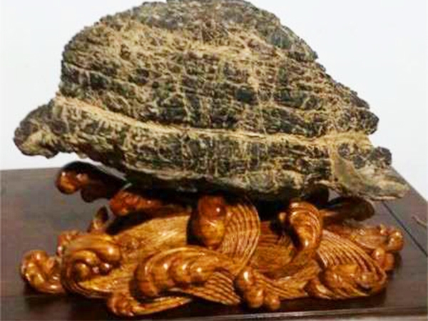 水浪座